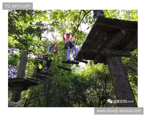 开云爱游戏体育:打造专业化、个性化的体育娱乐服务体系 开云爱游戏体育:打造专业化、个性化的体育娱乐服务体系