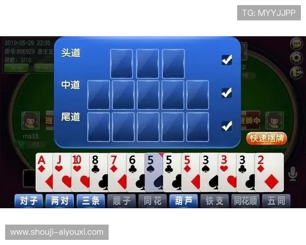 十三水官方网站详细攻略指南，帮助新手快速掌握游戏技巧与规则解析